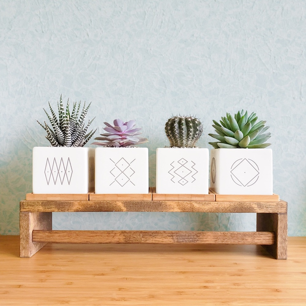 Set of 4 , Pots for Succulents & Cactus, Succulent Pots, Succulent Planters